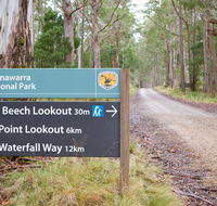 Beech lookout - Hobart Tourism