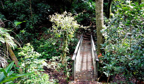 Richmond Range National Park - Hobart Tourism 0