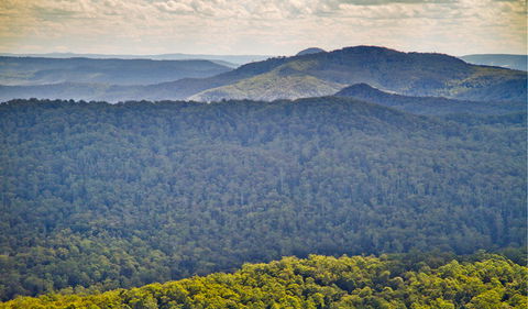 Murray Scrub Lookout - Hobart Tourism 1