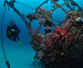 Severance Shipwreck Dive Site - Tourism TAS 0