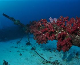 Severance Shipwreck Dive Site - Tourism TAS 2