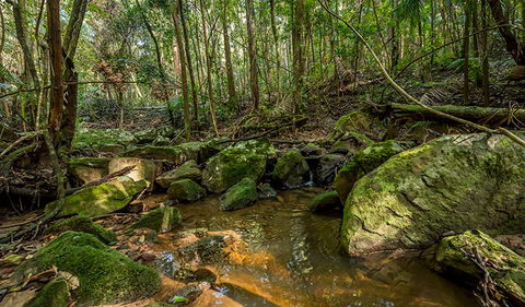 Palm Grove Nature Reserve - Tourism TAS 0