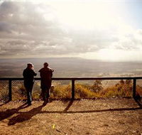 Heaton State Forest - Watagan Mountains - Tourism TAS