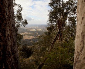 Heaton State Forest - Watagan Mountains - Tourism TAS 1