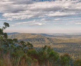 Heaton State Forest - Watagan Mountains - Tourism TAS 2