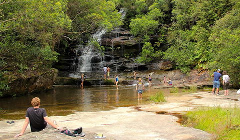 Somersby Falls Picnic Area - Tourism TAS 0