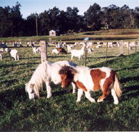 Trudgalong Farm - Tourism TAS