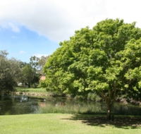 Hervey Bay Botanic Gardens - Tourism TAS