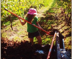 East Gippsland Wines - Tourism TAS 5