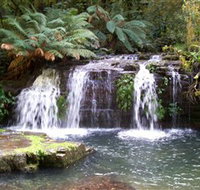 Barrington Tops National Park Walks - Tourism TAS
