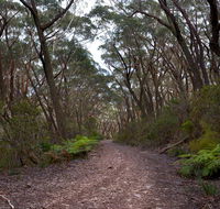 Budawang National Park - Hobart Tourism