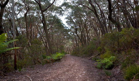 Budawang National Park - Hobart Tourism 0