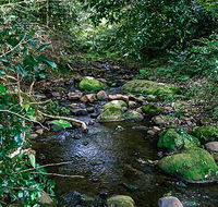 Macquarie Pass National Park - Hobart Tourism
