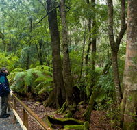 Monga National Park - Hobart Tourism