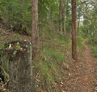 Border loop walk - Hobart Tourism