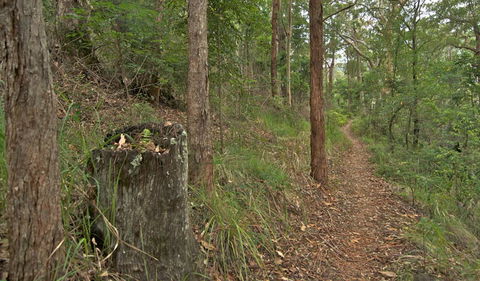 Border Loop Walk - Hobart Tourism 0