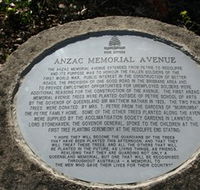 Anzac Memorial Avenue Redcliffe - Tourism TAS