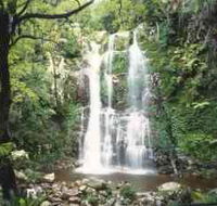 Budderoo National Park - The Falls Walk - Tourism TAS