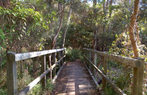 Lake Macquarie State Conservation Area - Tourism TAS 2