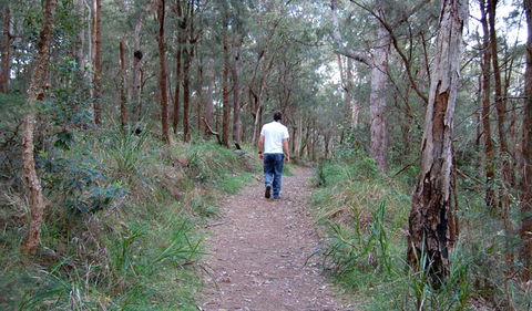 Lake Macquarie State Conservation Area - Tourism TAS 3