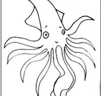 Squid Studio - Hobart Tourism