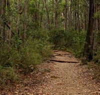 Pigeon House Mountain Didthul walking track - Hobart Tourism