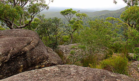 Pigeon House Mountain Didthul Walking Track - Hobart Tourism 1