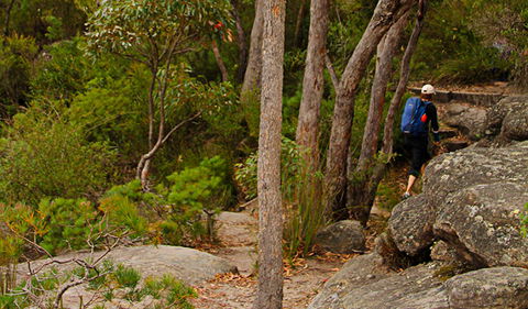 Pigeon House Mountain Didthul Walking Track - Hobart Tourism 3