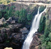 Minnamurra Rainforest Centre Budderoo National Park - Tourism TAS