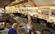 Campbells Store Craft Centre - thumb 9