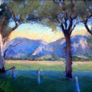 Galleries In The Gardens - Tourism TAS 4