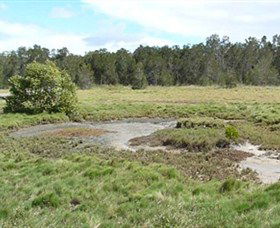 Boondall Wetlands Reserve - Hobart Tourism 1