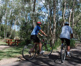 Boondall Wetlands Reserve - Hobart Tourism 2