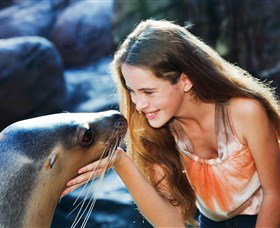 Sea Life Sunshine Coast - Tourism TAS 1