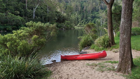 Nymboi-Binderay National Park - Tourism TAS 1