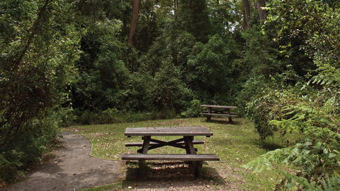 Nymboi-Binderay National Park - Tourism TAS 3