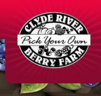 Clyde River Berry Farm - Hobart Tourism