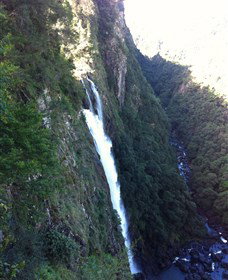 Ellenborough Falls - Hobart Tourism 0