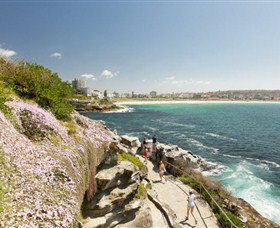 Bondi To Coogee Coastal Walk - Hobart Tourism 3