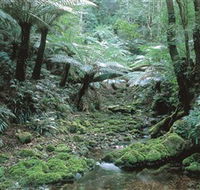 The Corn Trail Walk - Hobart Tourism