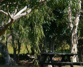 Casino NSW Hobart Tourism