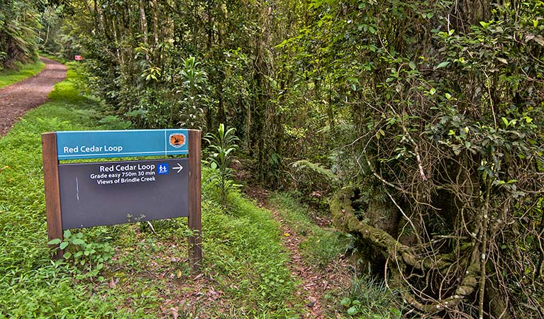 Border Ranges NSW Hobart Tourism