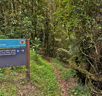 Red Cedar loop - Hobart Tourism