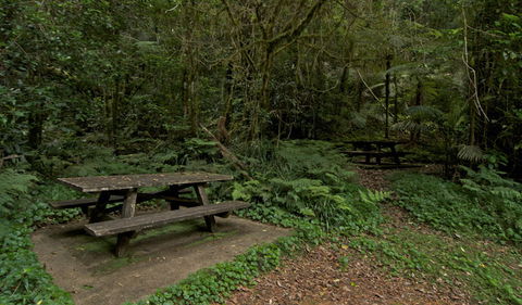 Brindle Creek Picnic Area - Hobart Tourism 2