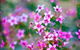 Kalbarri National Park - thumb 2