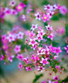 Kalbarri National Park - Tourism TAS 2