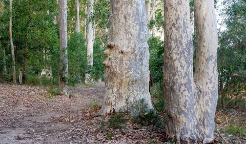 Delta Track - Hobart Tourism 3