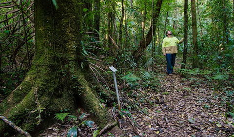 Botanic Walk - Tourism TAS 3