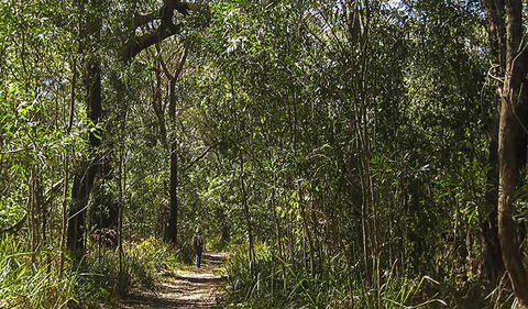 Sand Track Walk (south) - Hobart Tourism 0