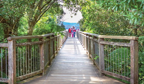 Skywalk Lookout - Tourism TAS 0